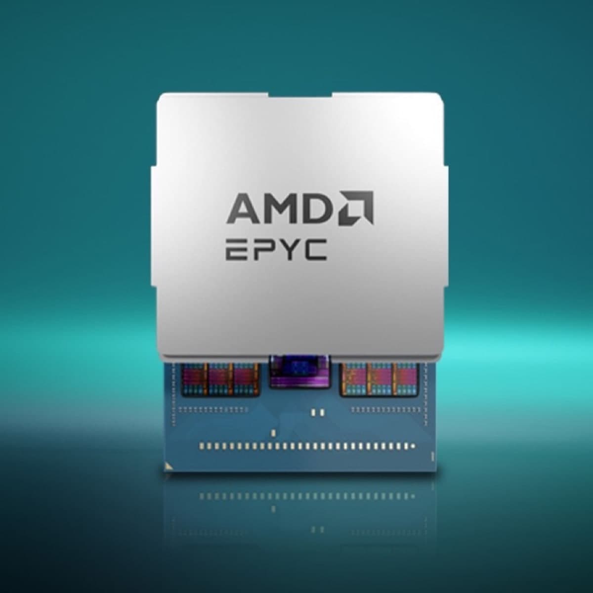AMD EPYC 9354 Processor (32 cores, Zen 4)