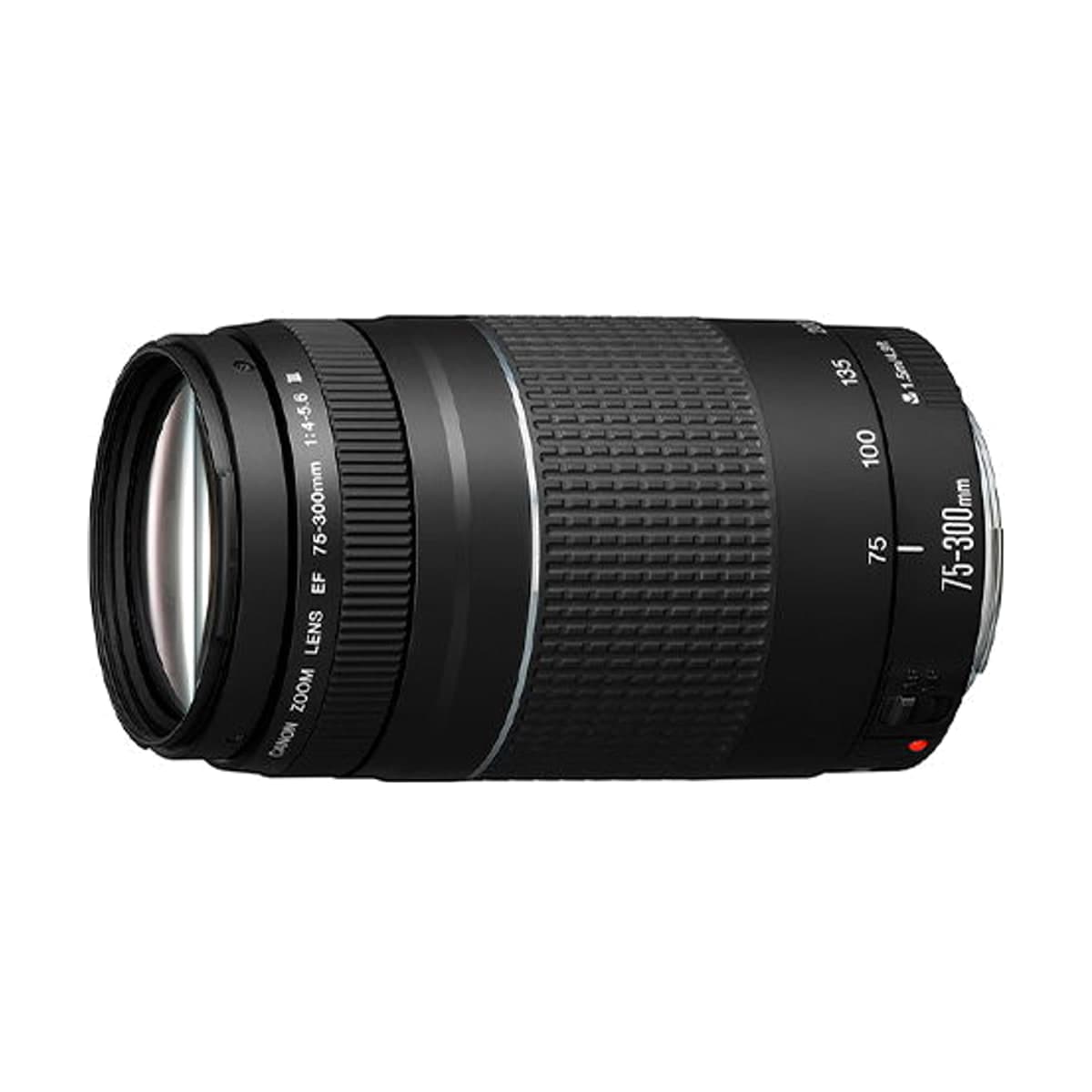 Canon EF 75-300mm f/4-5.6 III 렌즈