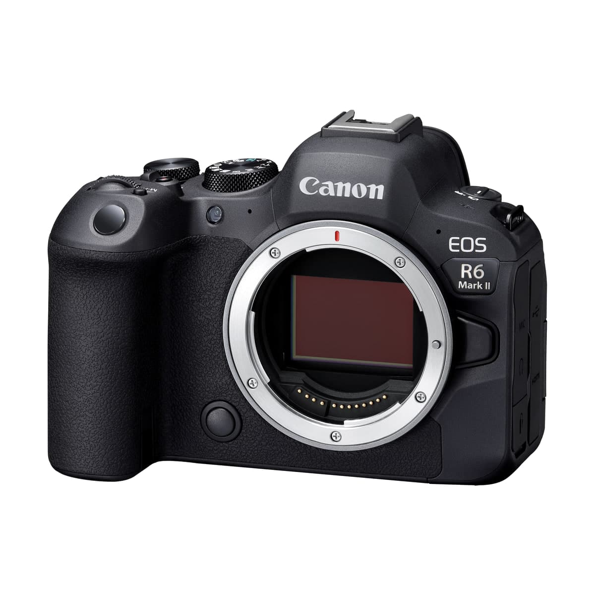 Беззеркальная камера Canon EOS R6 Mark II с объективом RF 24-105mm F4L IS USM